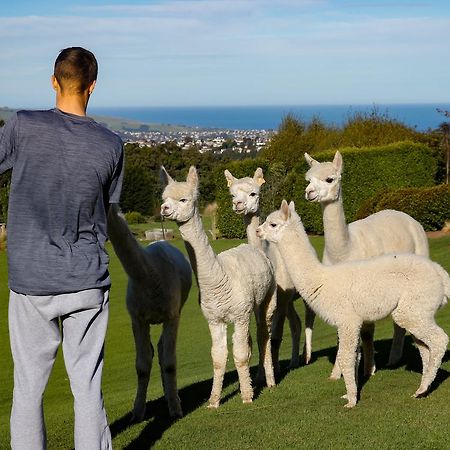 Alpaca Farmstay Dunedin Exterior foto